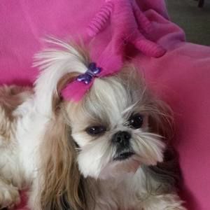 Meet your Posher, Melissa